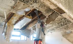 Best Asbestos and Lead Testing During Mold Inspection  in Belmont Estates, VA